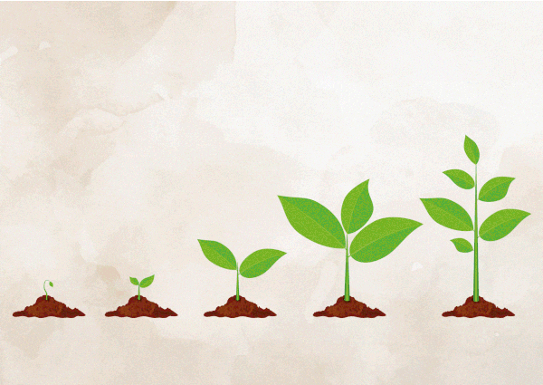 Choosing Sustainable Growth over Scalability: A New Approach to Startups